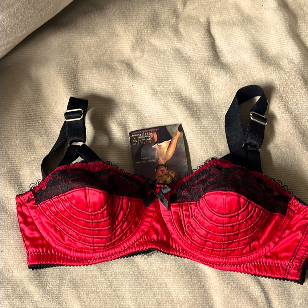 Elegant Red and Black bullet Bra